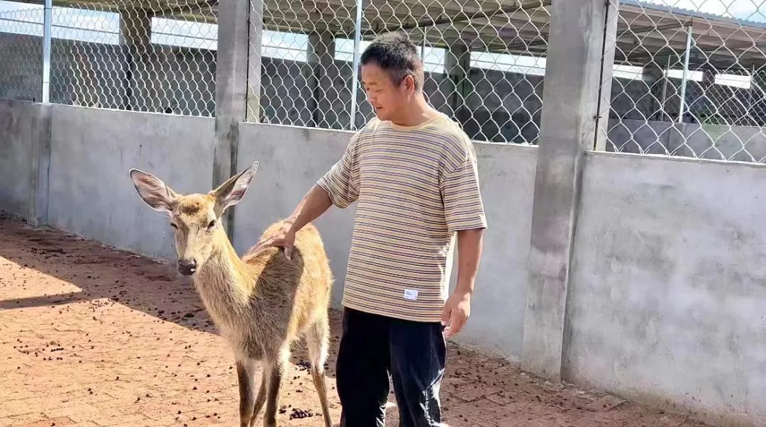 保时捷平台注册